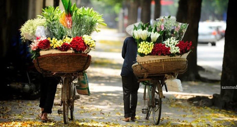 Lối xưa xe ngựa hồn thu thảo...