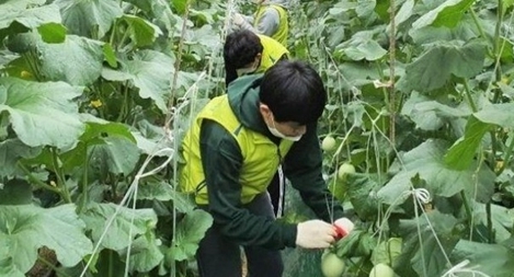 Hàn Quốc cho phép lao động Việt hết hạn hợp đồng ở lại đến năm 2022