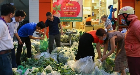 Học gì từ đại dịch?