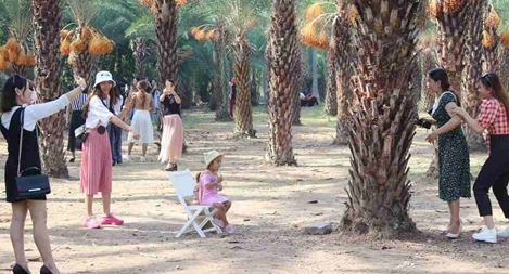 Phục hồi, phát triển du lịch trong trạng thái bình thường mới