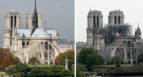 Những cây sồi "hoàng gia" với sứ mệnh Notre Dame