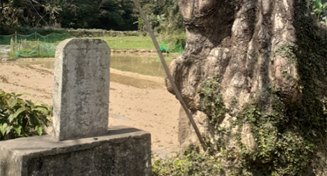 Cần khai mở lịch sử và văn học trung đại của người Mường Hòa Bình