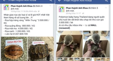 Xử lý nhiều trường hợp rao bán động vật hoang dã trên mạng