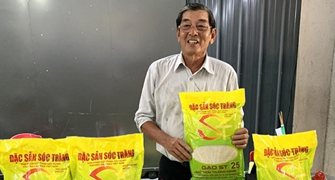 Gạo ST24, ST 25 bị đăng ký nhãn hiệu tại Australia