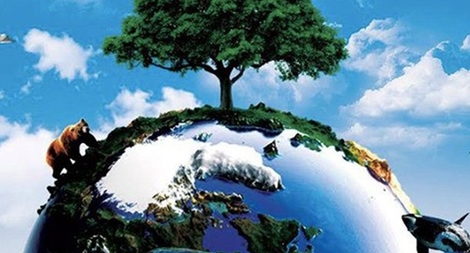 Chung tay bảo vệ tương lai