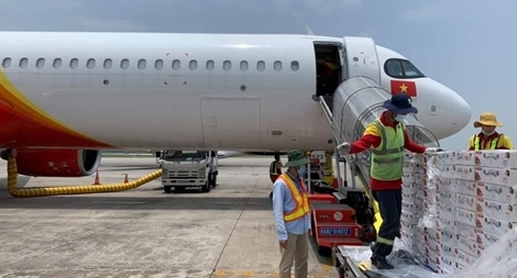 Vietjet chung tay đưa vải thiều Việt Nam xuất ngoại