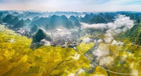 Cuộc thi sáng tác Logo, bộ nhận diện thương hiệu “Festival Nhiếp ảnh quốc tế Việt Nam”