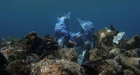 Nguồn cảm hứng nhân văn về con người