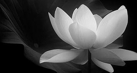 Lãnh đạo Đảng gửi thư chia buồn Anh hùng lực lượng vũ trang Nguyễn Văn Lập qua đời