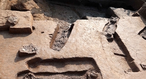 Đề xuất bảo tồn khu phía Đông, khai quật di dời phía Tây di chỉ Vườn Chuối