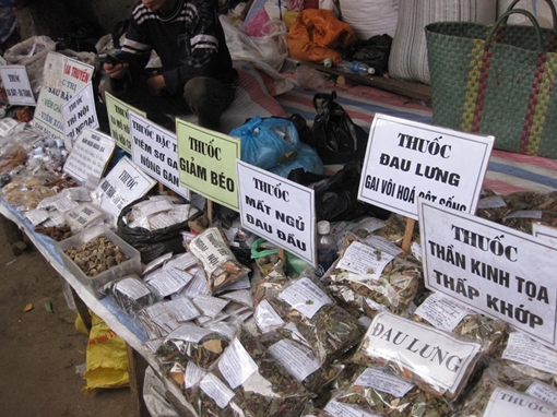 (SỐC) Hơn 80% dược liệu nhập về Việt Nam không rõ nguồn gốc