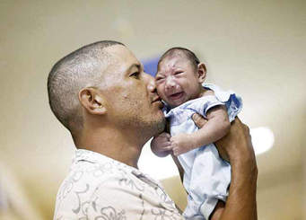 Dịch do virus Zika gia tăng nhanh chóng