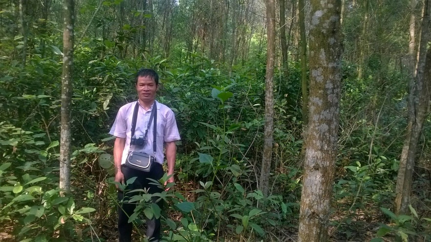 Từ cây cỏ dại đến công trình khoa học chữa bệnh gan