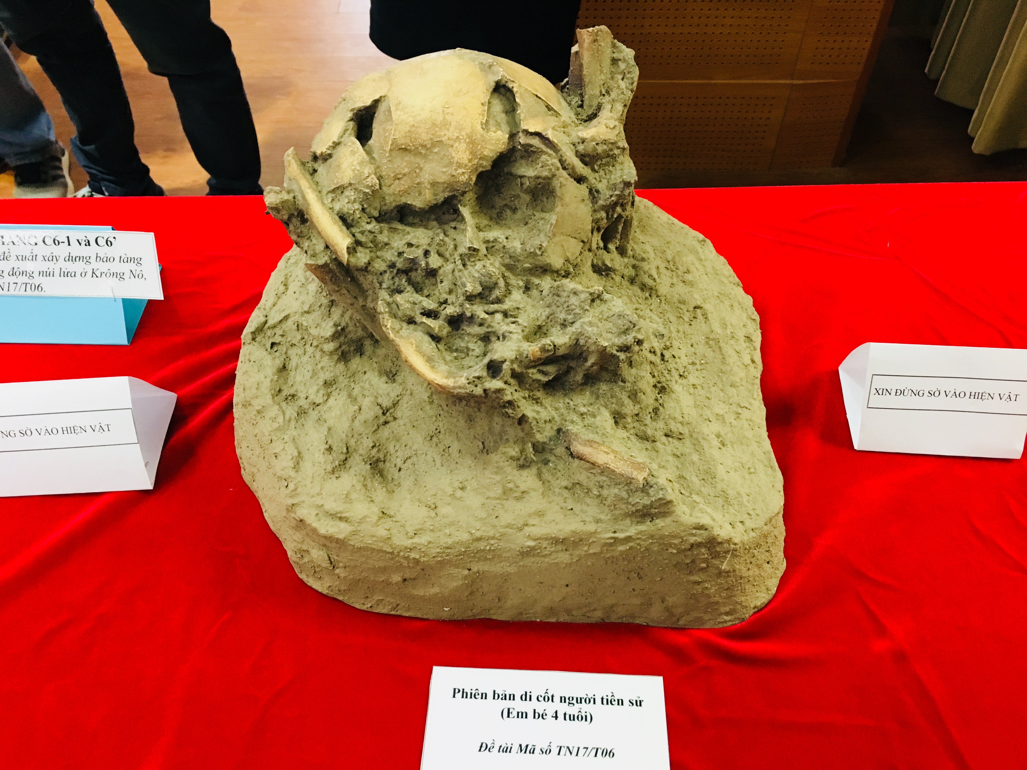 Tìm thấy di cốt người tiền sử có niên đại cách đây 7.000 năm