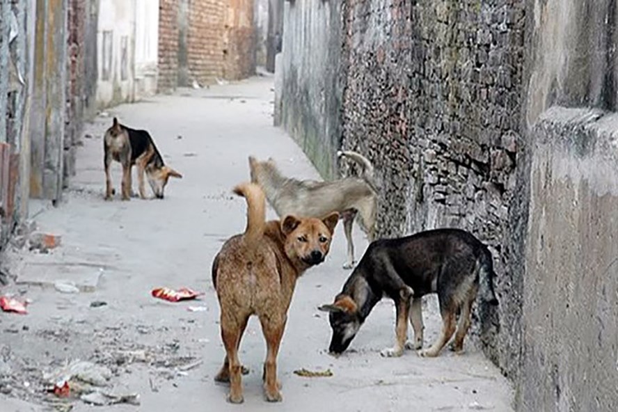 Chế tài có nhưng chưa thực hiện được