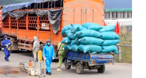 “Thẻ ưu tiên” cho phương tiện chở hàng dễ hỏng qua vùng dịch