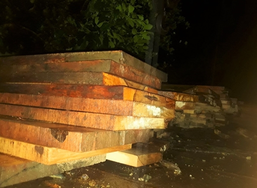 Điều tra nhiều gỗ rừng được phát hiện tại nhà máy thủy điện Sông Tranh 3