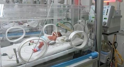 Một bà mẹ mong được sẻ chia sữa cho bé Gấu