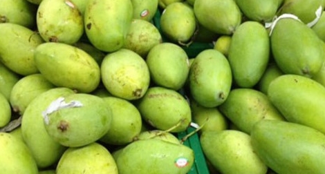 Xoài Việt Nam đã đến Australia
