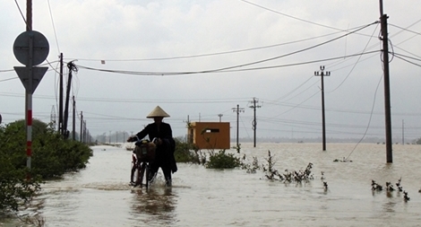 Quảng Nam ngập trắng đồng sau nhiều ngày mưa lớn
