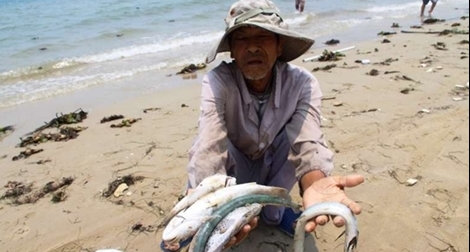 Cấp thêm 1.680 tỉ đồng bồi thường vụ Formosa 