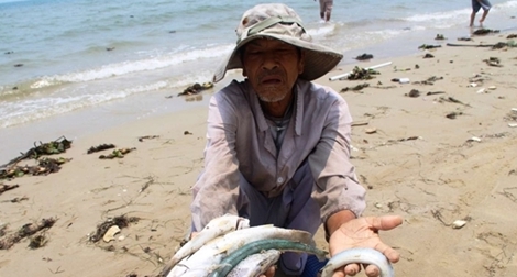 Phần lớn 50 sự cố môi trường nghiêm trọng đều từ cơ sở công nghiệp