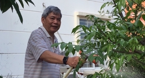 Cấy máy chữa suy tim, Việt Nam bắt kịp kĩ thuật ngang tầm thế giới 