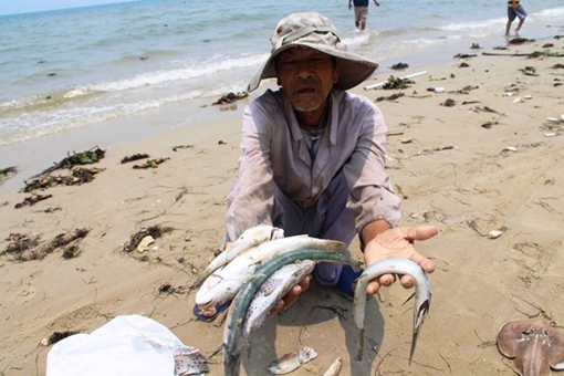 Chuẩn bị công bố kết quả sử dụng 11.150 tỷ đồng bồi thường của Formosa