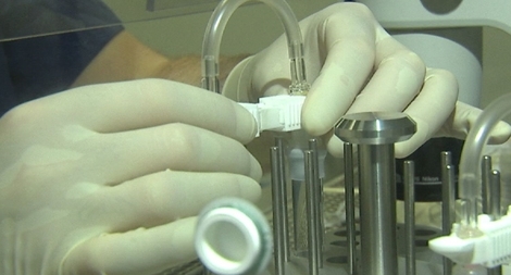 Thụ tinh ống nghiệm “hộp giày” hy vọng mới chữa vô sinh