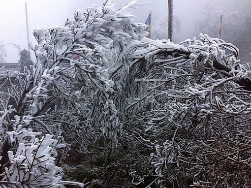 Mùa đông năm nay đến sớm và có 2-4 đợt băng giá 