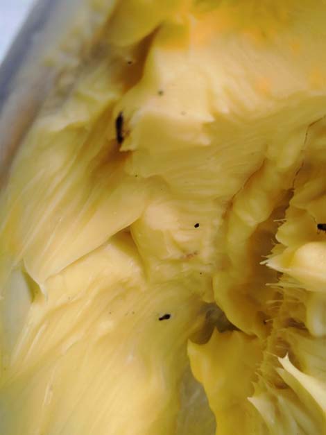 Phạt cơ sở cung cấp chà bông bẩn khiến nhiều người nhập viện 84 triệu đồng