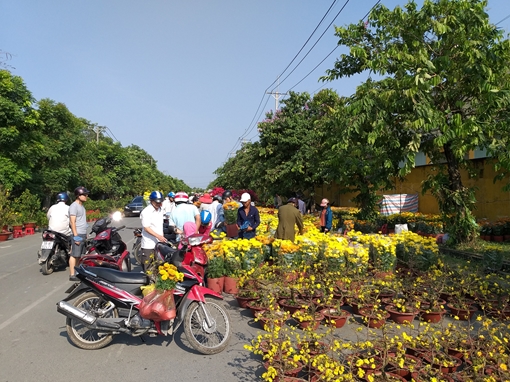 Hoa sáng 30 Tết giá giảm còn một nửa