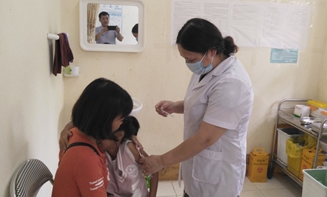 Chó dại cắn chữa thuốc nam, nhiều trường hợp tử vong