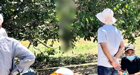 Tử vong trong tư thế treo cổ sau cuộc cãi vã lúc nửa đêm