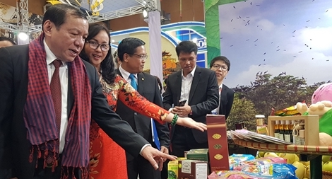 10.000 tour du lịch kích cầu và 100.000 vé máy bay giá rẻ 