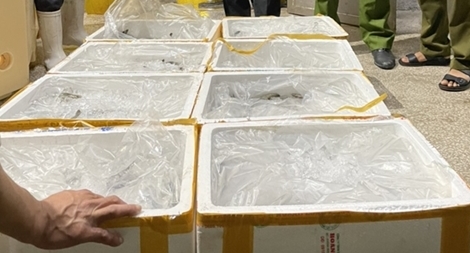 Phát hiện cơ sở kinh doanh tôm chứa tạp chất tại Kiên Giang