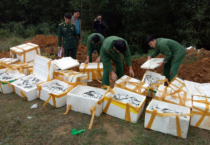 Phát hiện nhiều vụ vận chuyển cá đông lạnh nhập lậu