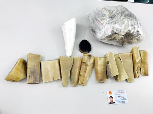 Bắt đối tượng vận chuyển trái phép lô sừng tê giác trị giá hơn 3 tỷ đồng 