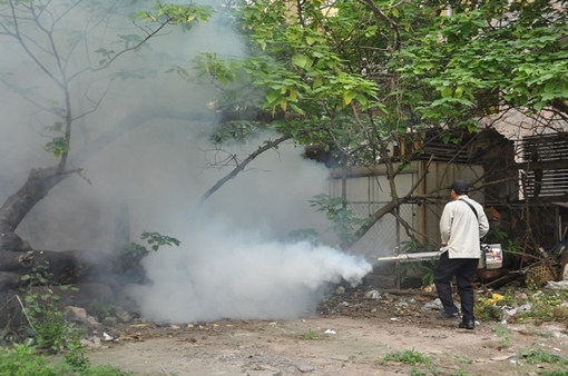 Hà Nội chỉ đạo khẩn phòng chống sốt xuất huyết