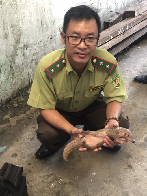 Tê tê đi lạc vào nhà dân