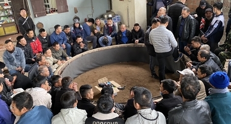 Hơn 100 cảnh sát "đột kích" sới gà ăn tiền, bắt 59 con bạc