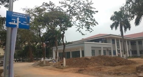 Giám đốc BV Tâm thần Trung ương I: Tôi không biết có bay lắc trong bệnh viện