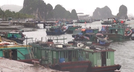 Đang nuôi trồng hải sản trên biển, bị "yêu râu xanh" đánh và hiếp dâm