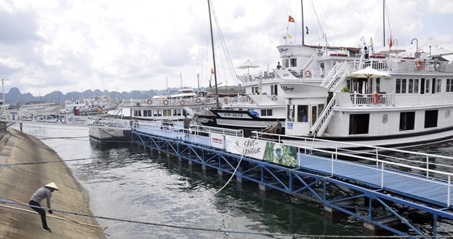 Du khách Nhật trượt chân ngã tử vong tại cảng Tuần Châu