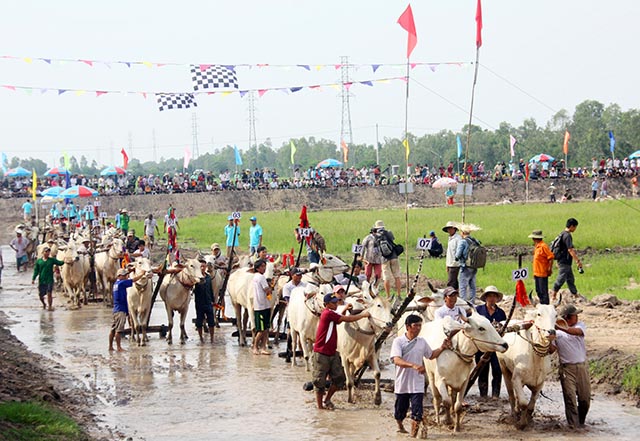 Du lịch An Giang tổ chức thi tìm kiếm logo và slogan