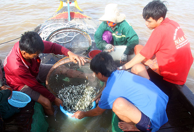 Người dân miền Tây hớn hở đón mùa nước nổi