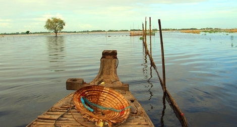 Mùa nước nổi miền Tây: Con nước lên nhanh… con cá chưa về