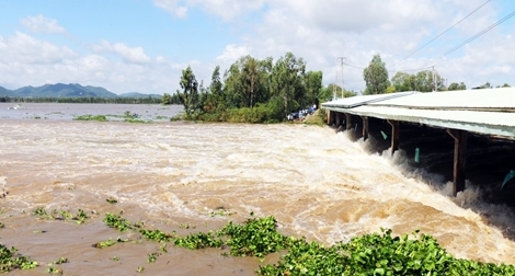 Xả đập Tha La, Trà Sư kiểm soát lũ sông Cửu Long và vùng Tứ Giác Long Xuyên