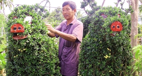 Cây cảnh hình heo được bán giá 30 triệu ở Cái Mơn