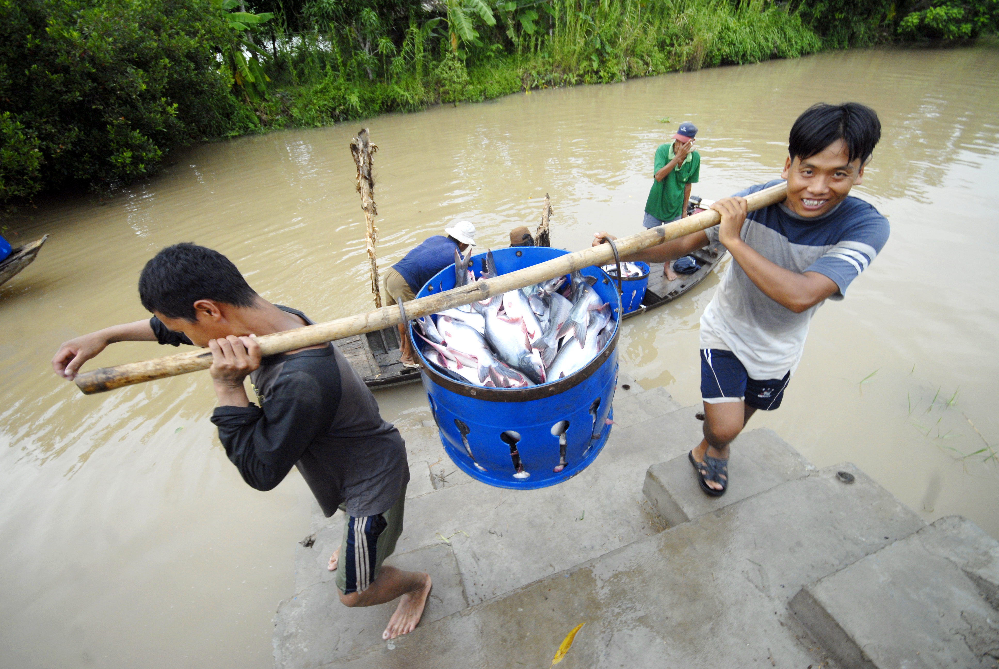 Ngành hàng cá tra tăng trưởng vượt bật trong năm 2018